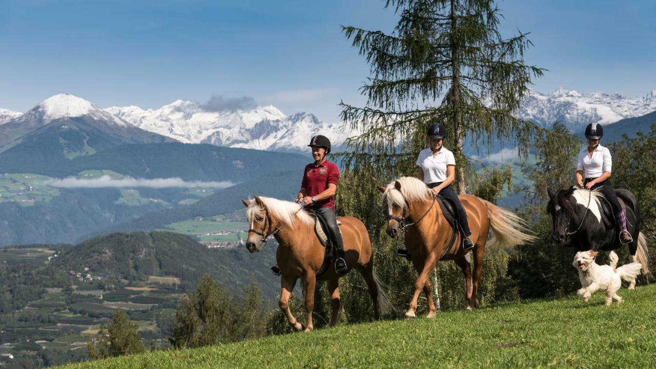 Widmannhof - Urlaub Auf Dem Biobauernhof Villa Bressanone Eksteriør billede